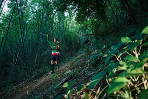 BIB: 
                            <button type="button" onclick="openModal(28125020)" class="btn btn-primary btn-sm float-right btn-popup" data-toggle="modal" data-target=".modal-high-quality">
                        <i class="fas fa-shopping-cart"></i> Add to Cart
                    </button>
                                            <button type="button" onclick="isThisMe(28125020, true)" class="btn btn-success btn-sm float-right btn-popup btn-isme hidden" data-toggle="tooltip" data-placement="bottom" title="นี่คือรูปของคุณใช่ไหม คลิกที่นี่เพื่อเอาเข้าอัลบั้ม">
                        <i class="fas fa-plus"></i> Add to album
                    </button>
                    <button type="button" onclick="isThisMe(28125020, false)" class="btn btn-warning btn-sm float-right btn-popup btn-isnotme hidden">
                        <i class="fas fa-ban"></i> Remove from album
                    </button>